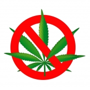 Home-Rule Used To Disguise Marijuana Stigma