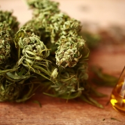 Hemp processing