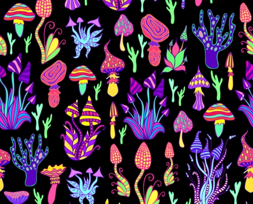 Are Magic Mushrooms and Sclerotia Truffles Legal in Florida? - Mr Cannabis Law