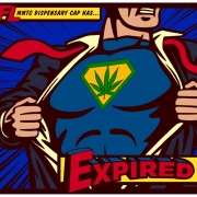 Florida Super Licenses Receive Another Dose of Steroids: But Will They Accept the Boost? - Mr. Cannabis Law