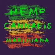 Can the Hemp Industry Transact with the Marijuana Industry? - Mr. Cannabis Law