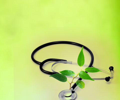 Everything You Need to Know About Colorado’s Proposition 122 | Mr. Cannabis Law