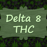 How Delta-8 Companies Can Mitigate Impact of 280E IRS Audit - Mr. Cannabis Law